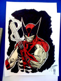 Wolverine-JH Wzgarda
